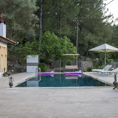 No.25 - Private Pool & Outdoors - Orhaniye Marmaris